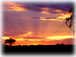 Tucson Senior Solutions - sunset